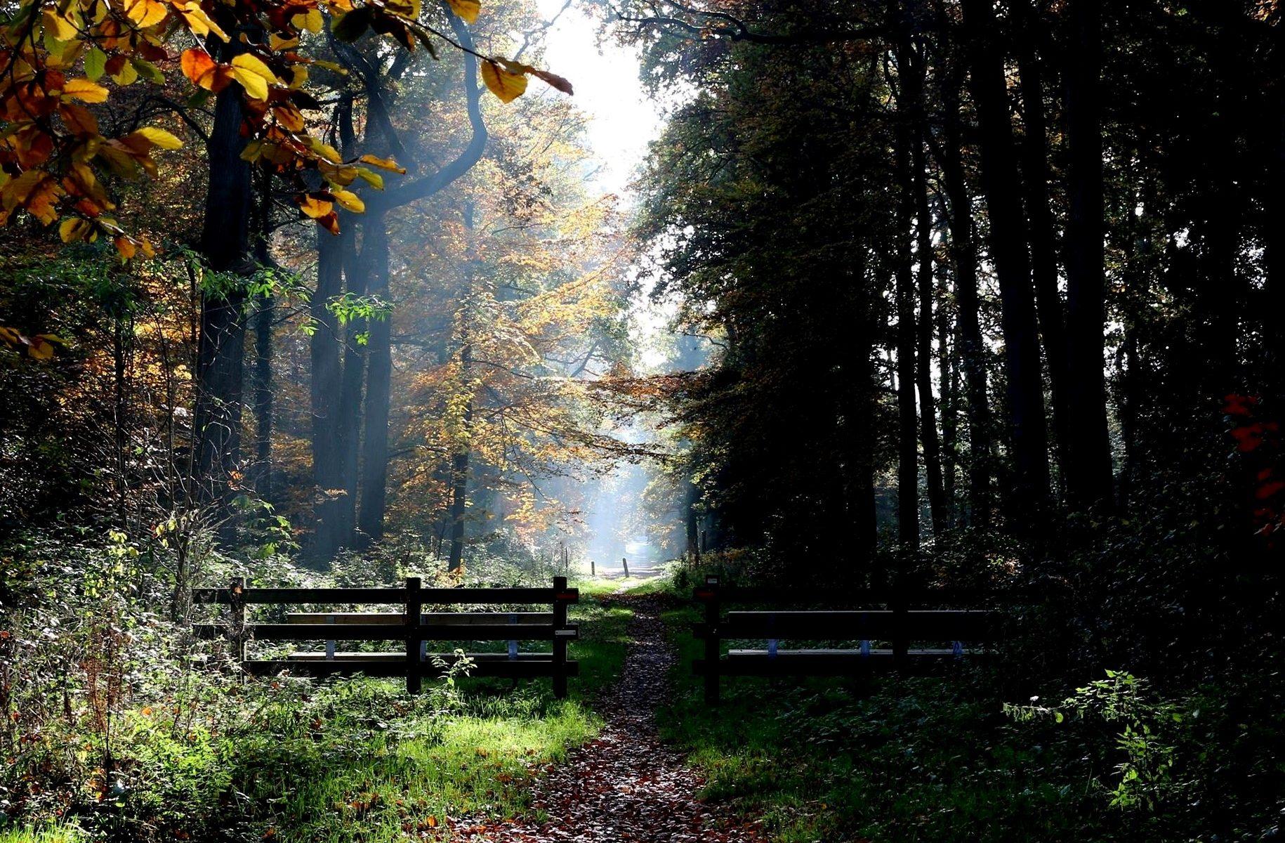autumn light winnaar Publieksprijs De Friesland zorgverz. Buitenmoment.